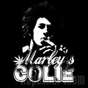 MARLEY'S COLIE