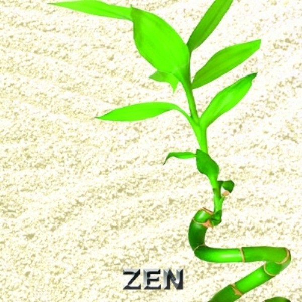ZEN ( MEDICAL COLLECTION )