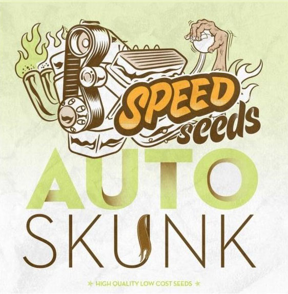 skunk-auto-a-granel-speed-seeds
