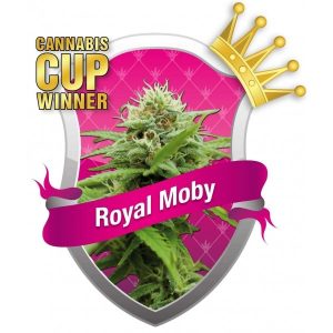 ROYAL MOBY