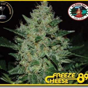 FREEZE CHEESE 89