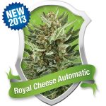 ROYAL CHEESE AUTOMATIC