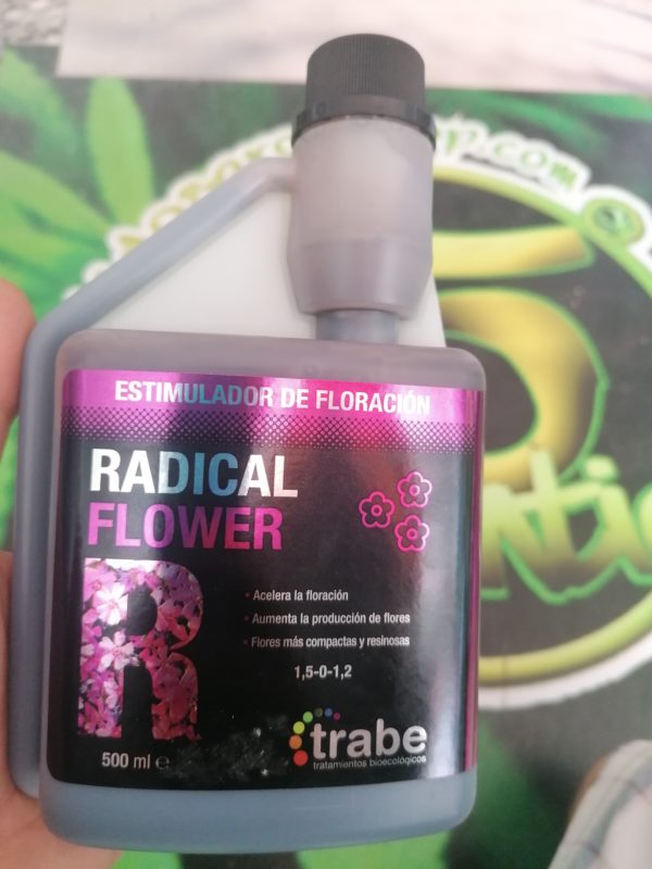 radical flower