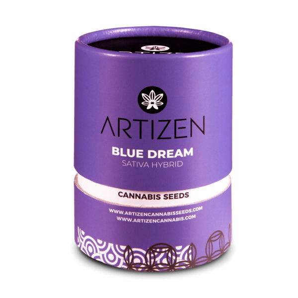 Blue Dream feminizada artizen cannabis seeds