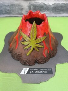 volcanna cannabis cup