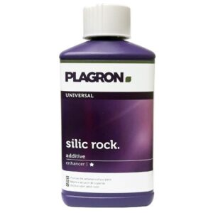 silic rock