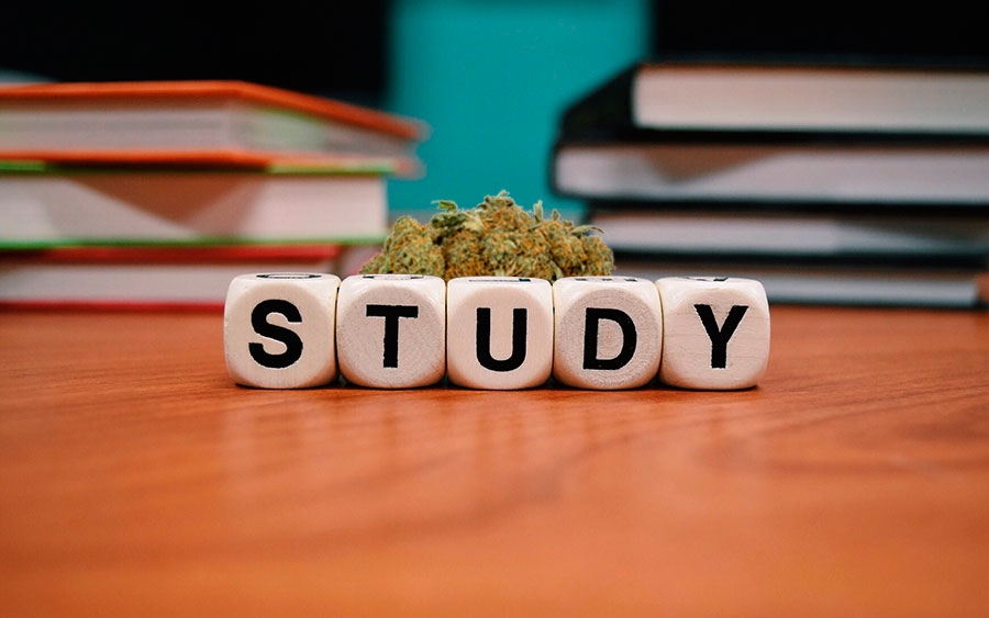 El Cannabis puede ayudar a estudiar